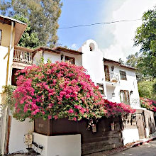 ����� �����