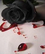 rose and blood
