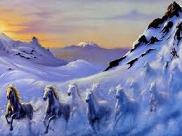 snow horses