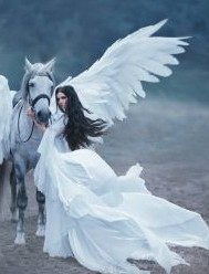 ����� �����