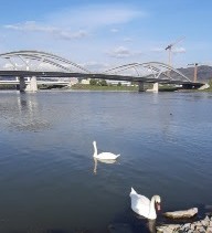 ����� �����