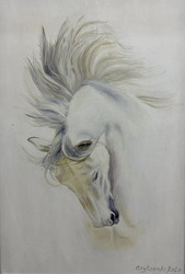 ����� �����