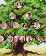 ����� �����